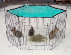 Freigehege Grün Mit Tür 60 X 63cm 6tlg.