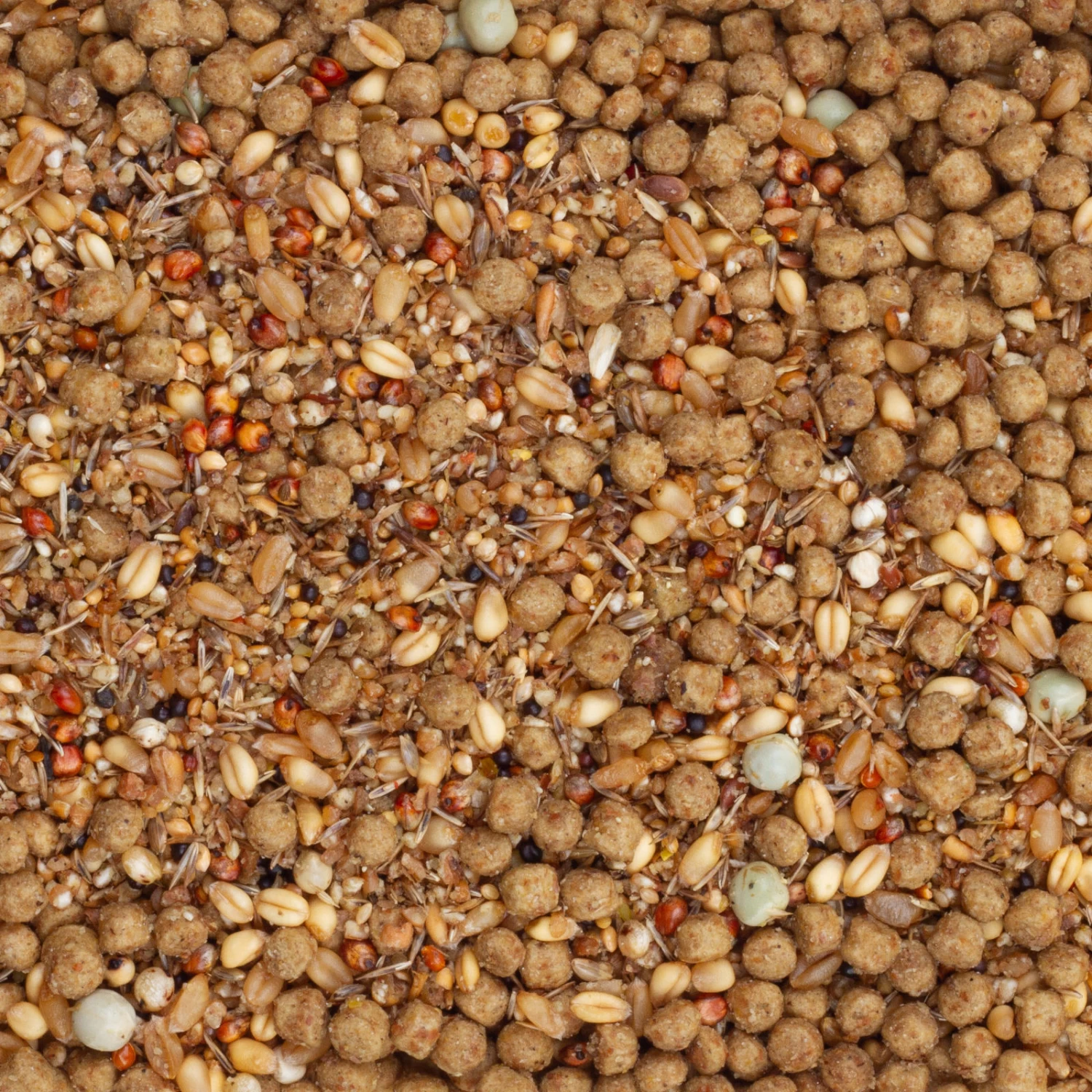 Beyers Energy Tovo 12kg