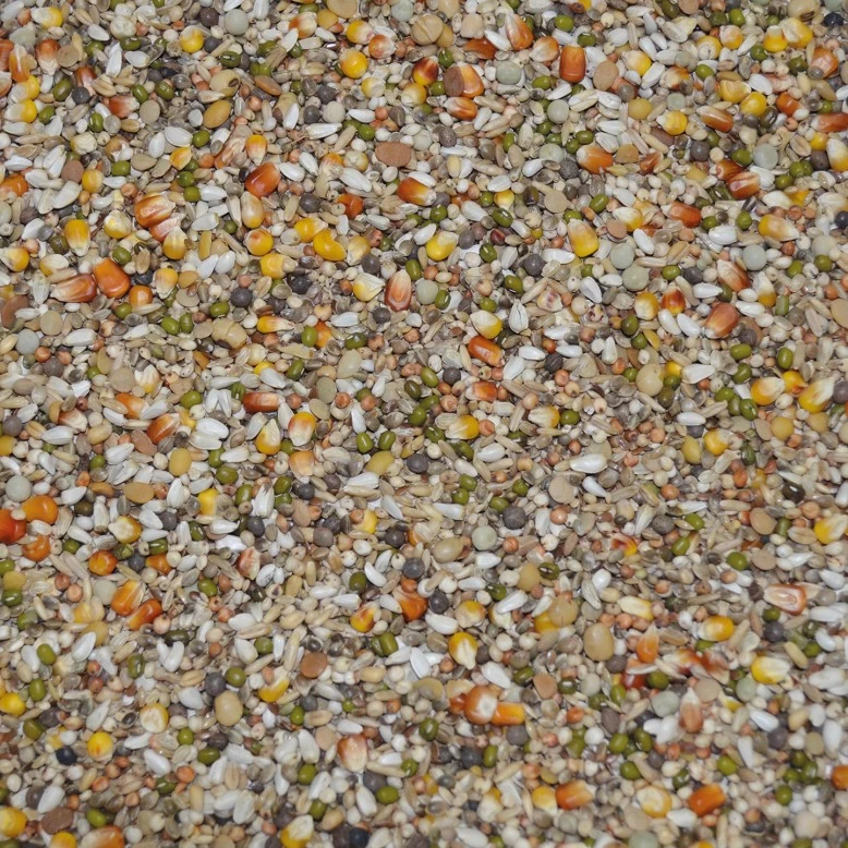 Vanrobaeys Nr.189 Profi Süd Ost Premium Power 20kg