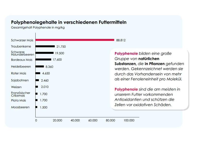 Versele Winter Plus I.C.⁺ 20kg – Bild 3