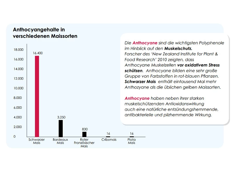 Versele Master Diät Relax 20kg – Bild 4