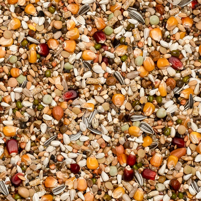 Beyers Premium Jelle Jellema Power 20kg