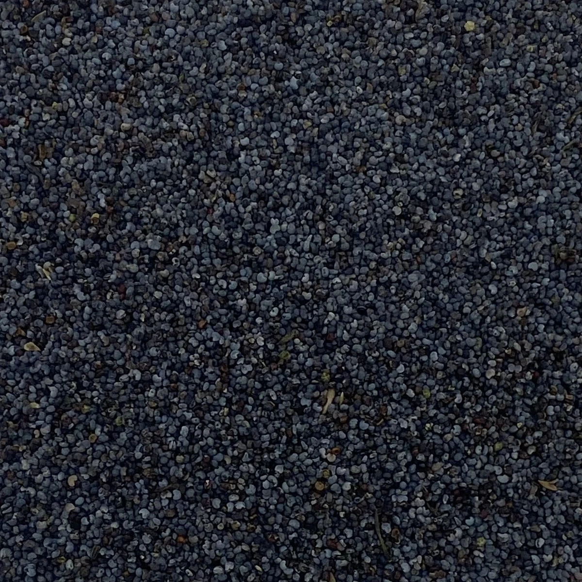 Blaumohnsamen - Vanrobaeys 25kg