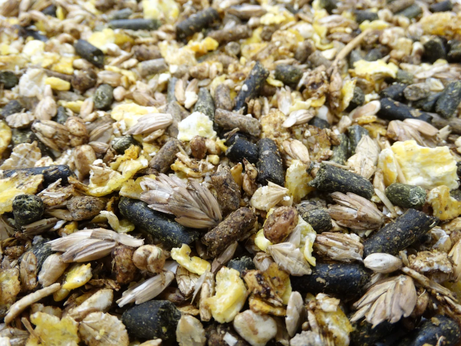 Havens Cool-Mix 20kg – Bild 3