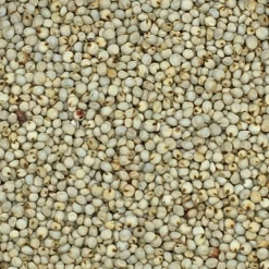 VERSELE-LAGA Dari Weiß - Versele 25kg