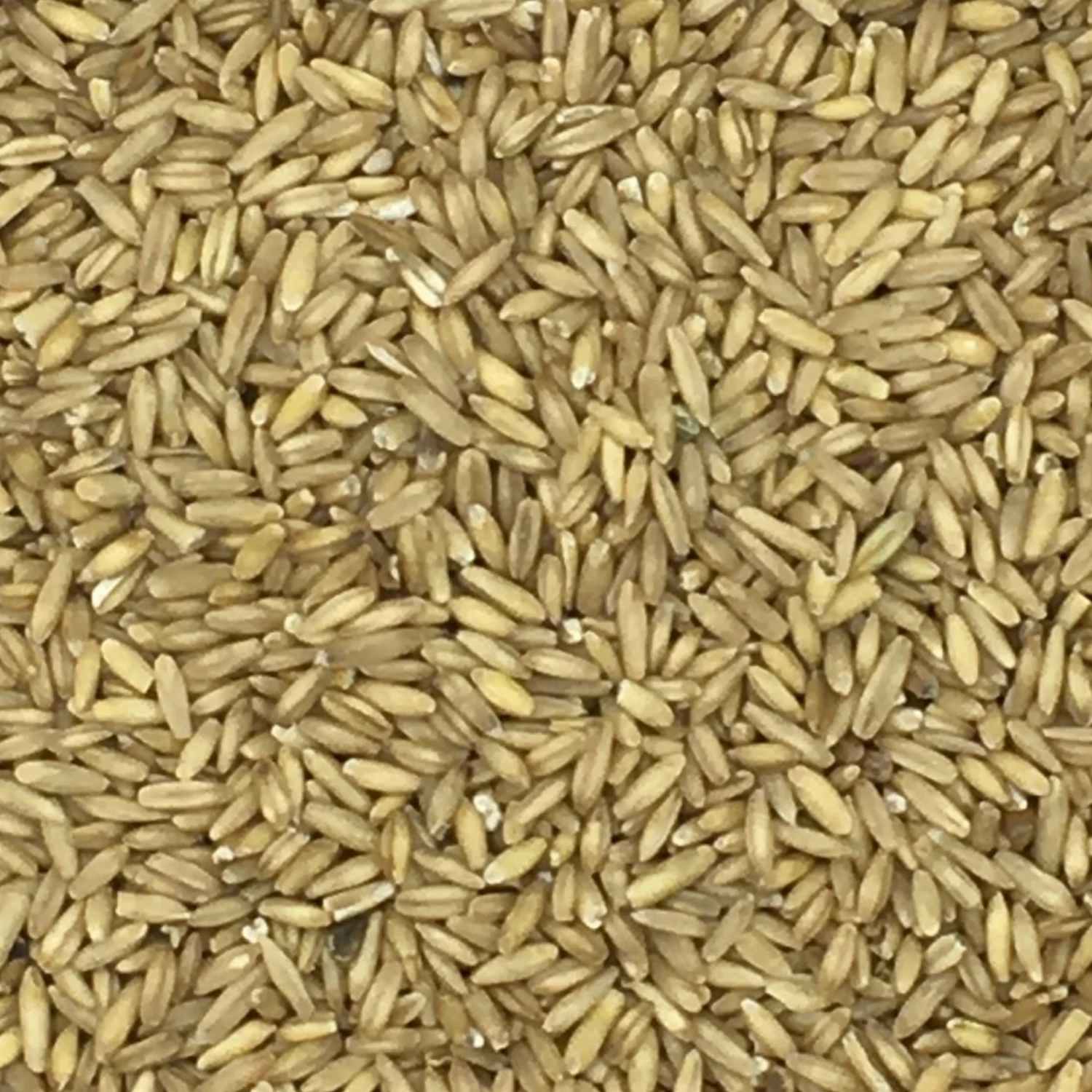 Haferkerne - Vanrobaeys 25kg