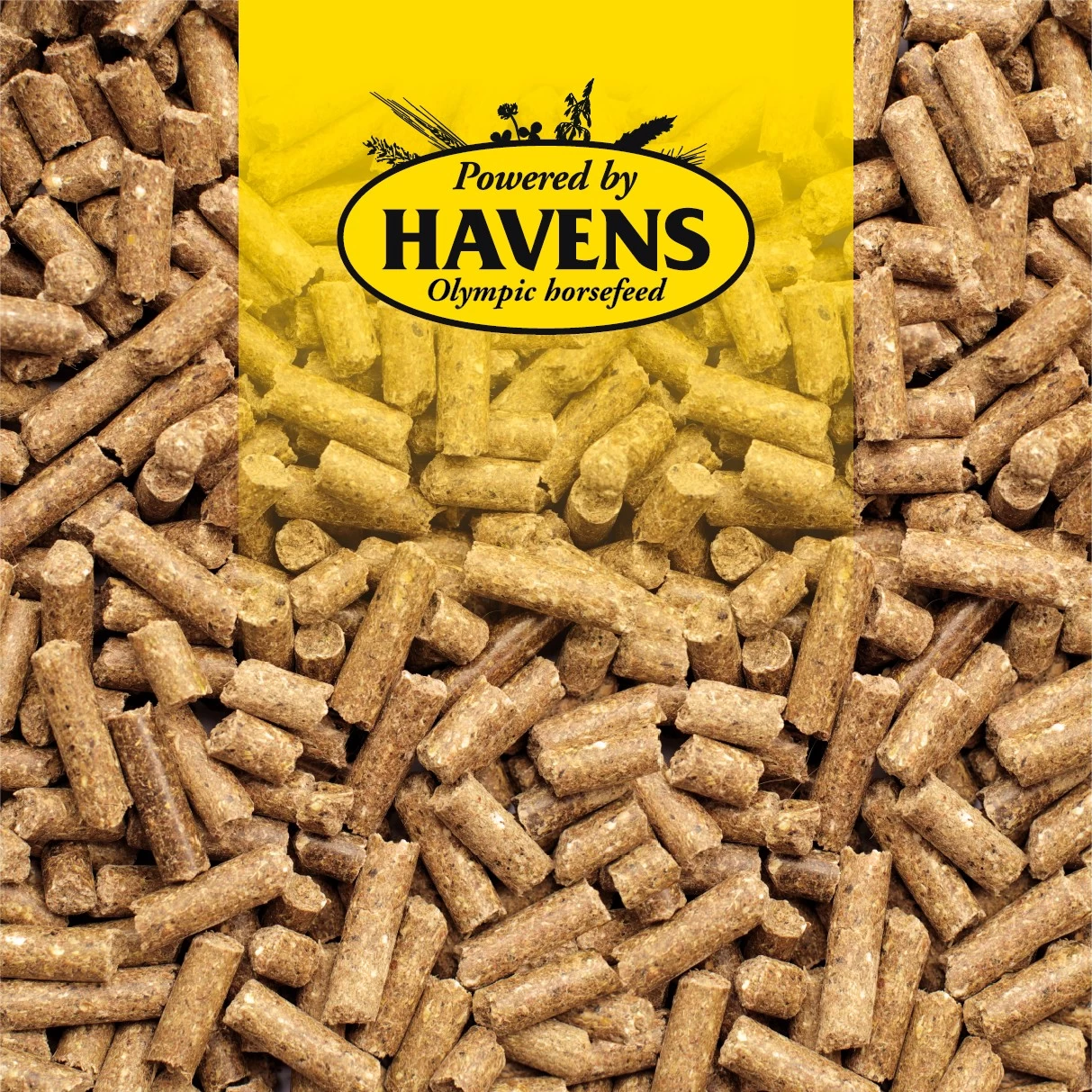 Havens DraversBrok 25kg