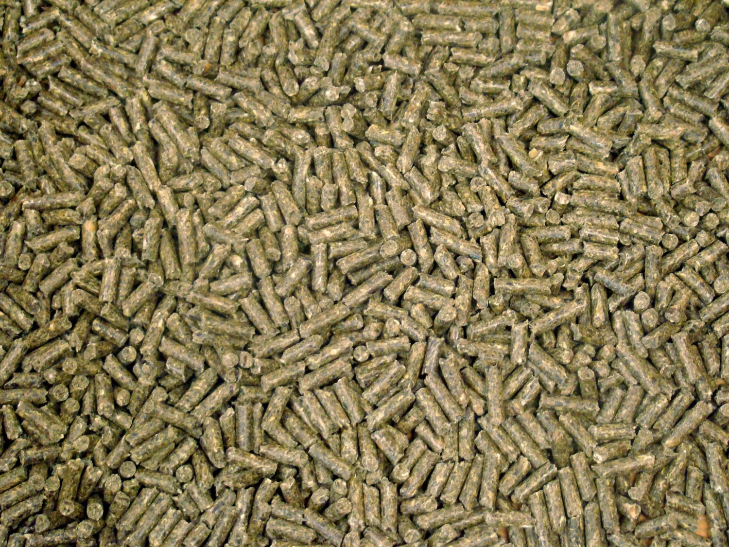 Havens Kuni Excellent M5 25kg – Bild 2