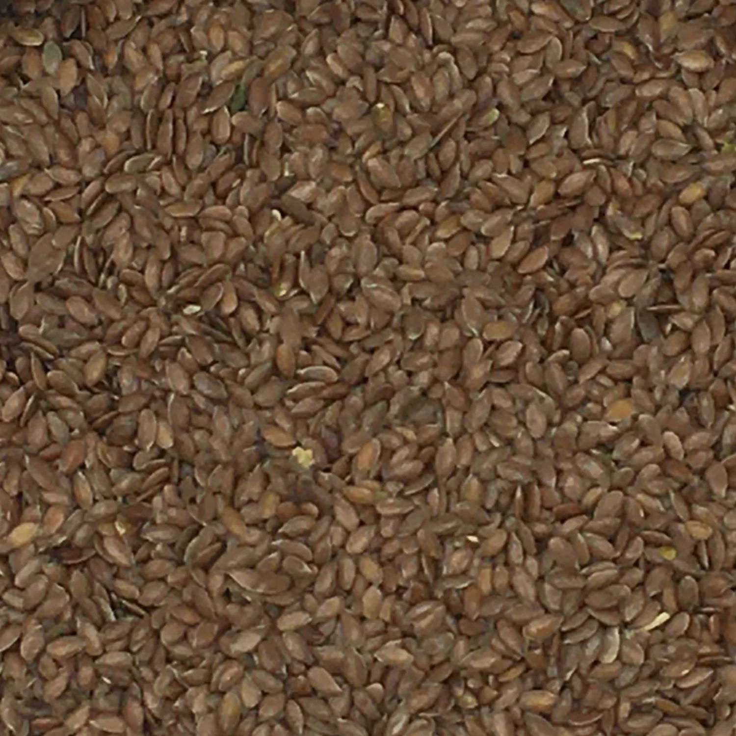 Leinsamen Braun - Vanrobaeys 20kg