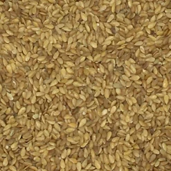 Leinsamen Gelb - Vanrobaeys 25kg