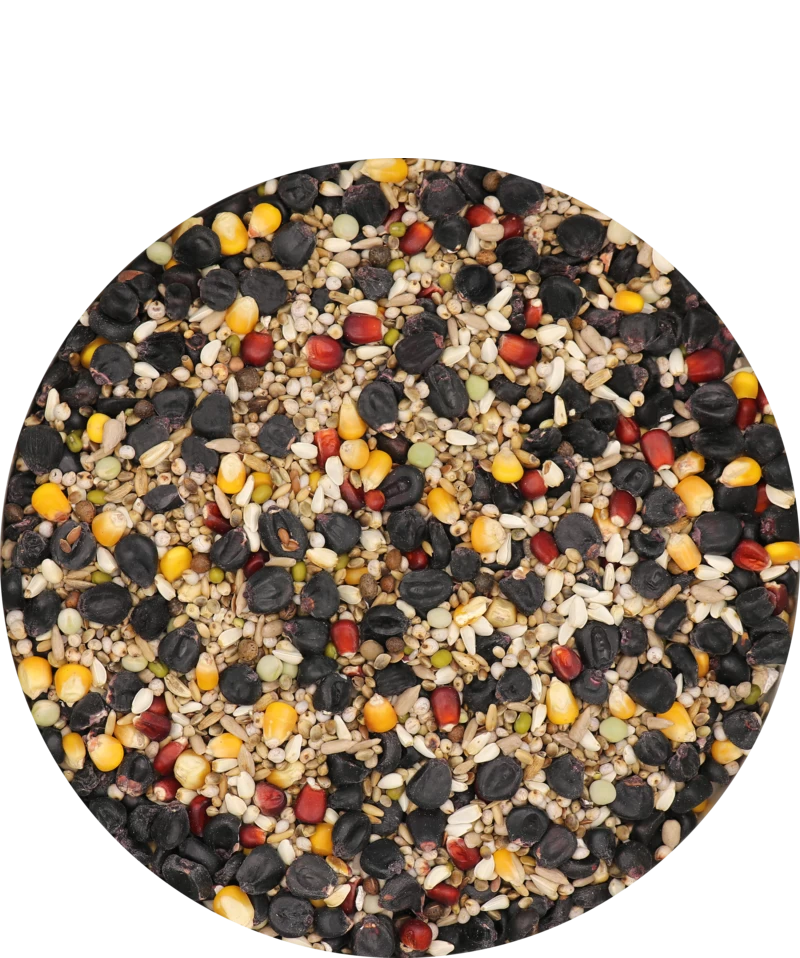 Versele Master Black 20kg