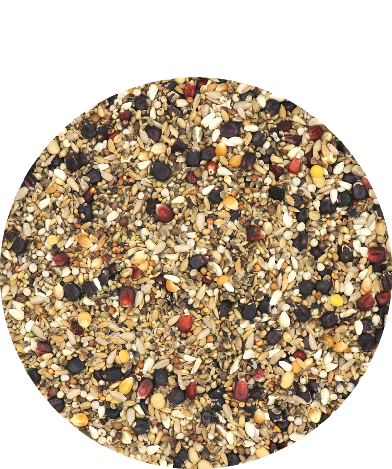 Versele Master R Exclusiv 20kg