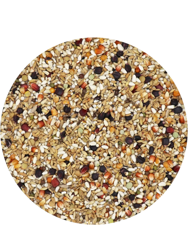 Versele Master Diät Relax 20kg