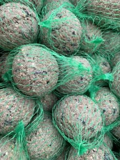 Meisenknödel 100er -Pack