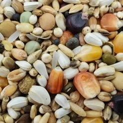 Paloma Nr.111 Olympic Gold 20kg