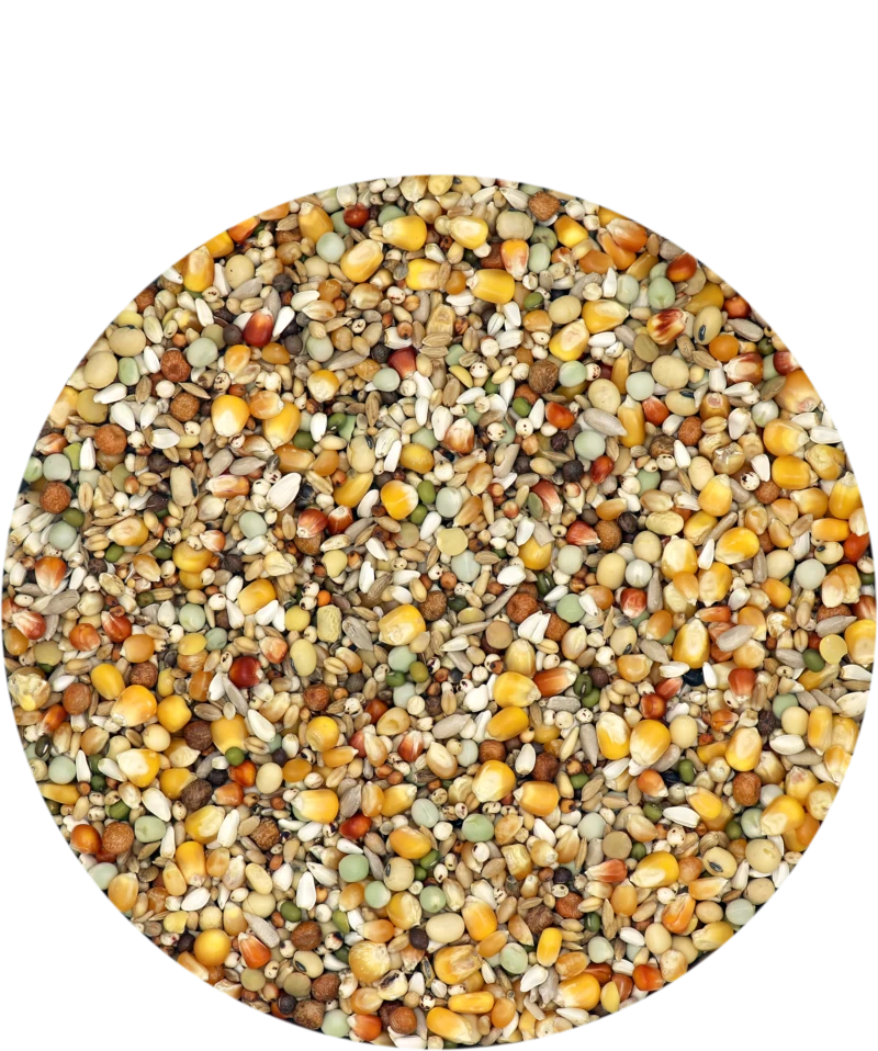 Versele Reise Active Life 25kg