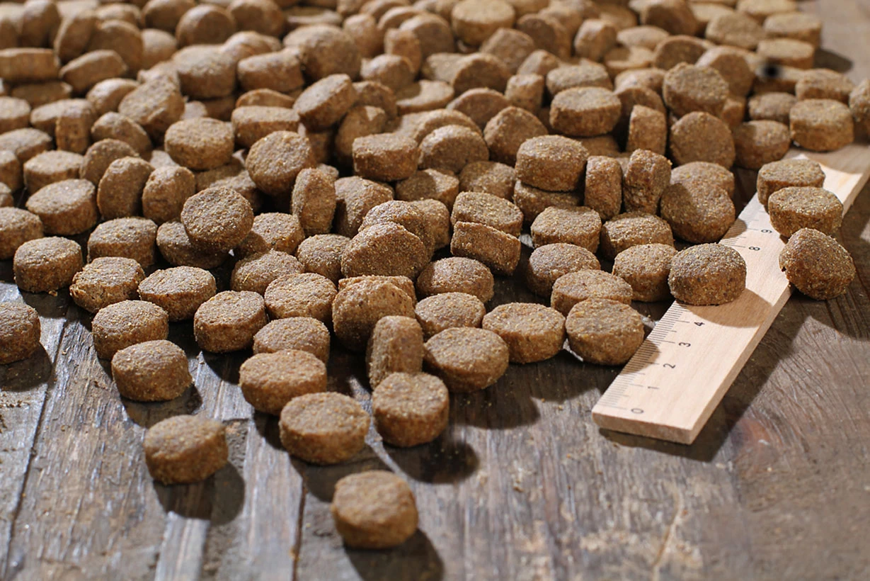 Bewi Dog Basic 25kg – Bild 3