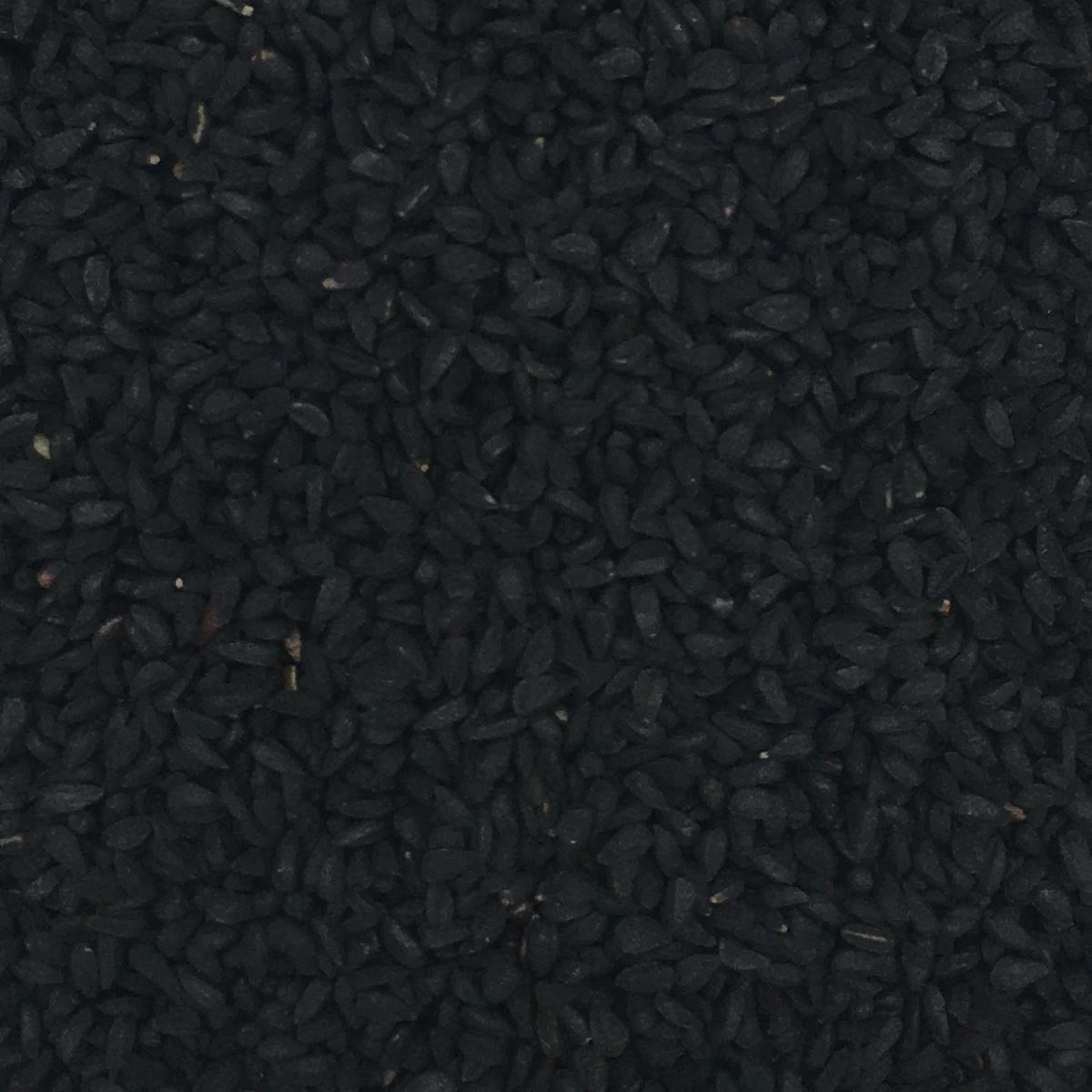 Schwarzkümmelsaat - Gladen 2,5kg