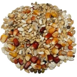 Beyers Galaxy Sport Light 20kg