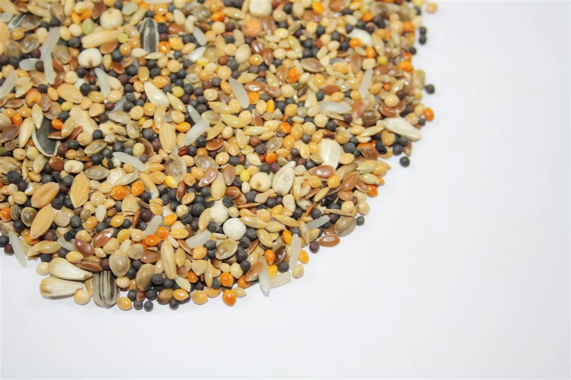 Vanrobaeys Nr.74 Sämereien Premium Power 20kg