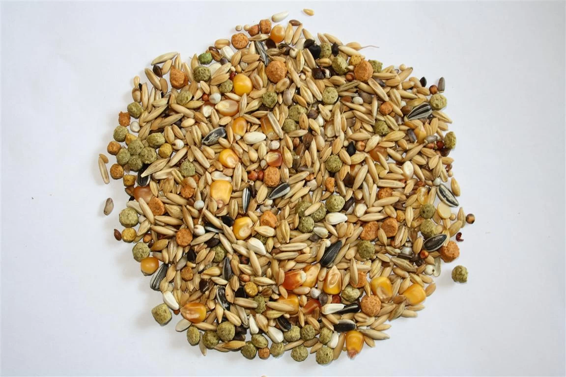 Versele Winter Plus I.C.⁺ 20kg