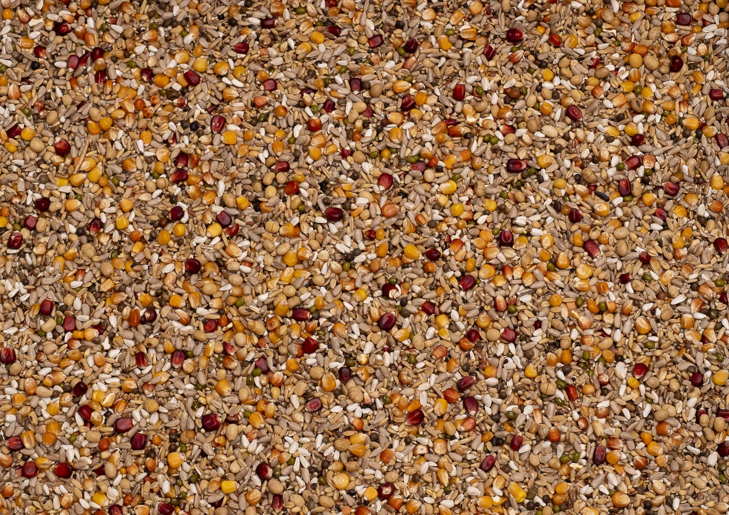 Beyers Galaxy Sport Energy 20kg